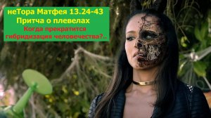 Евангелие по Матфею 13:24-43