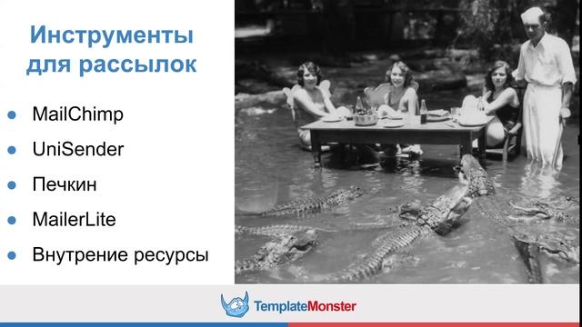 Email маркетинг для интернет-магазина. Практический вебинар от TemplateMonster
