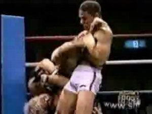 БРАЗИЛЬСКОЕ ДЖИУ-ДЖИТЦУ Brazilian Jiu-Jitsu