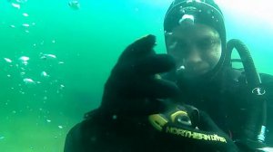 23.07.19.💓 Проект DIVINGPITER
🔥 Погружение с АКВАЛАНГОМ 
⚓ PRO DIVING CLUB.
🤗 ЭДУАРД(6)