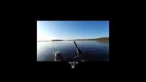 Рабочие мушки. Осенняя рыбалка на сибирской реке. Ловим рыбу на поплавок.