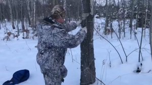 Гафы / древолазы / кедролазы