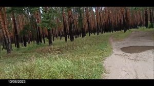 Жуковка, Брянская Область. Поездка на велосипеде 13.08.2023г.