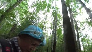 Жара, пермский лес, грибочки. 13 июля 2022.