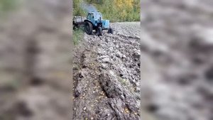 МТЗ 80 груженый по грязи.