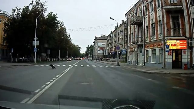 Сбитая собака смотреть онлайн