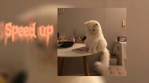 ~Ирина Аллегрова - Угонщица {speed up } 💕🎧