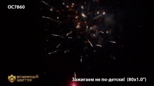 Зажигаем не по-детски! ОС7860 Фейерверки, салюты, бенгальские огни, фонтаны, петарды, римские свечи