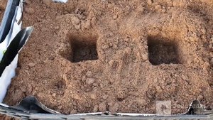 Цветы на балконе , и растут прямо в ящиках.)