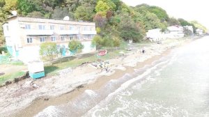 Большая ТАВАЙЗА г. Артем