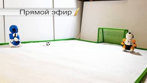 Роботы Футболисты! 2019 Лучшее