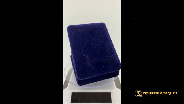 №1034  Нагрудный знак "МАГИСТР РАНХиГС" из позолоченной латуни.