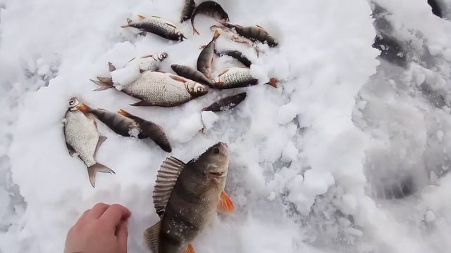 Старооскольское водохранилище.