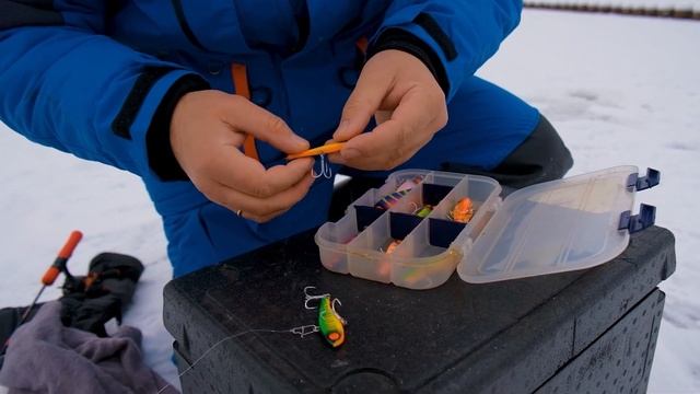Зимняя рыбалка. Форель на вибы + приманки подписчикам!