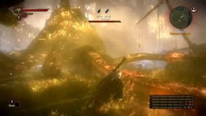 Ведьмак 2 Как убить Кейрана