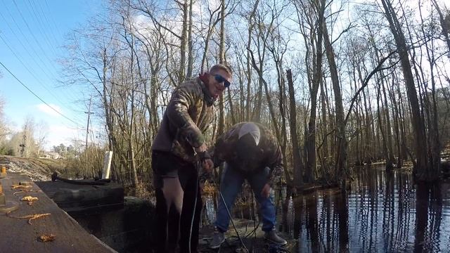 We Went Magnet Fishing Next To A Haunted Railroad Bridge смотреть онлайн
