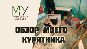 Обзор моего курятника