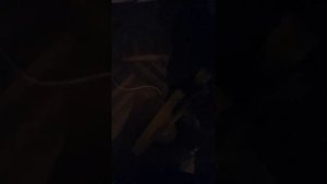 Как убить клопа уксусом? Или как уснуть ночью, если у вас дома клопы!