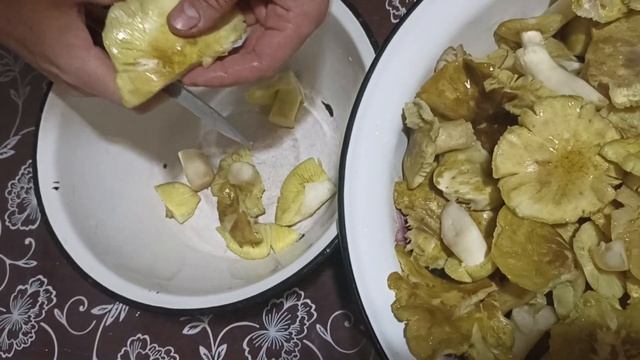 Соленые грибы. Простой рецепт. Солим зеленушку и маслята.