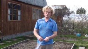 Защита от луковой мухи. Сетка. Ефимов Игорь.