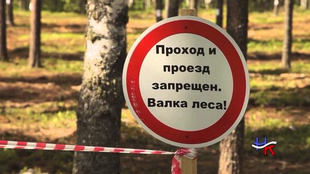 Проход в лес закрыт. Валка леса проезд запрещен.