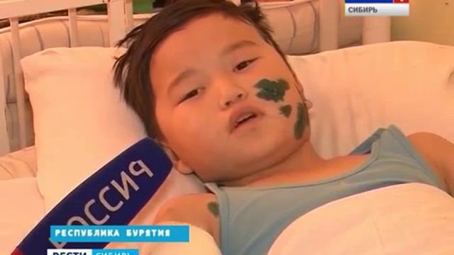 Стая бродячих собак напала на ребенка в Бурятии. смотреть онлайн