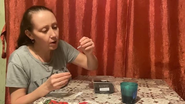 Посев семян бегонии РАДУГА F1,КОРОЛЕВА КРАСНАЯ F1, КОРОЛЕВА F1. смотреть онлайн