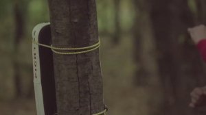 Витольд Петровский - шоу "Артист"