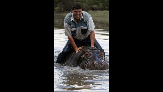 Дружба с бегемотом, закончившаяся печально смотреть онлайн