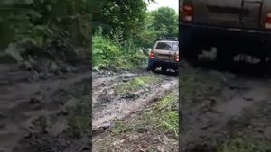 Нива на 31 сафари и 2 блокировках