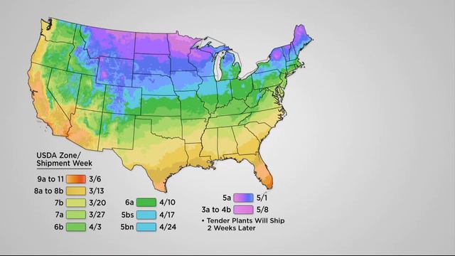 Cottage Farms 6-pc Bahama Mama Tango SunPatiens Collection on QVC смотреть онлайн