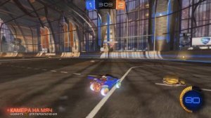 ГЛУПЫЕ СОБАЧНИКИ и их СОБАКИ