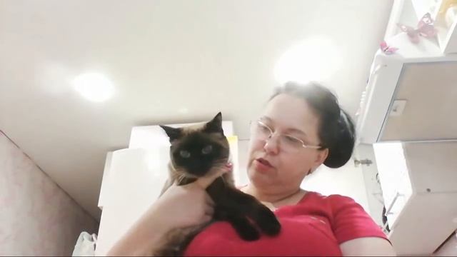 Надо приготовить ужин смотреть онлайн