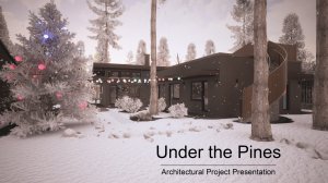 Architectural project presentation. House under the pines in Privetnoe.