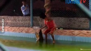 Экскурсия Шоу Крокодилов Египет, Шарм эль Шейх