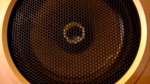 Акустическая система Романтика 25 АС-121