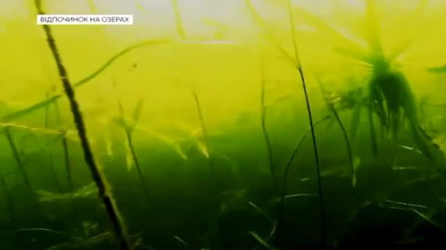 Топ-3 "озерных" курортов Украины смотреть онлайн