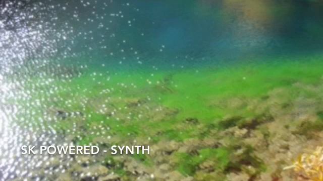 SK Powered - Synth смотреть онлайн