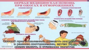 Народные рецепты для лечения эрозивного гастрита