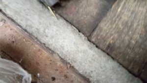 шрус пыльник Трек (наружный)