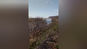 РЫБАЛКА река МАКСИМОВКА, КЕМА. ТО ЧТО МЫ ПОЙМАЛИ - ЭТО УХ ..... УЛОВ ШИКАРНЫЙ #макстмовка #кема