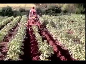 минитрактор с мотоблока нт 135 9 лс окучивание картофеля