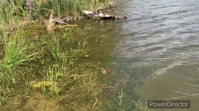 Учимся платно.а знания раздаем просто так смотреть онлайн