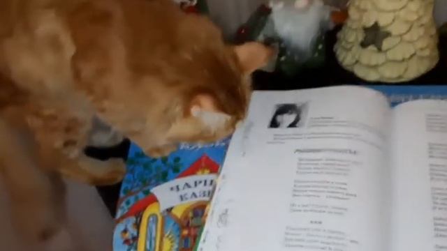 Сборник сказок и я одна из авторов???? смотреть онлайн