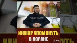 Инжир Упоминуть в коране