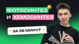 Фотосинтез и хемосинтез (короткометражка). Тест-Драйв, занятие №2