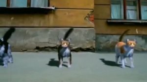 Кино - Весна [Remastered Full HD 60fps]