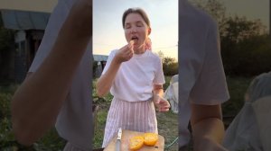 Дегустация Сибирского супер-томата?томат Золотая клуша | сладкий, тонкая кожица, ммм…