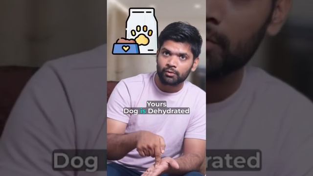 Dehydration 🐄🐕🦺occurs when a dog loses 🧐more fluid than they are consuming.