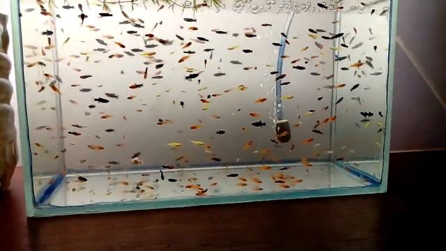 Неожиданные роды!!! смотреть онлайн